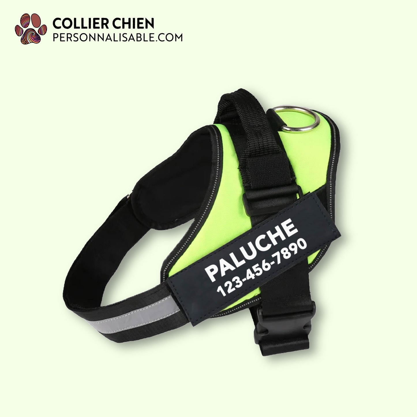 PASSE PARTOUT- Harnais en T couleur unie