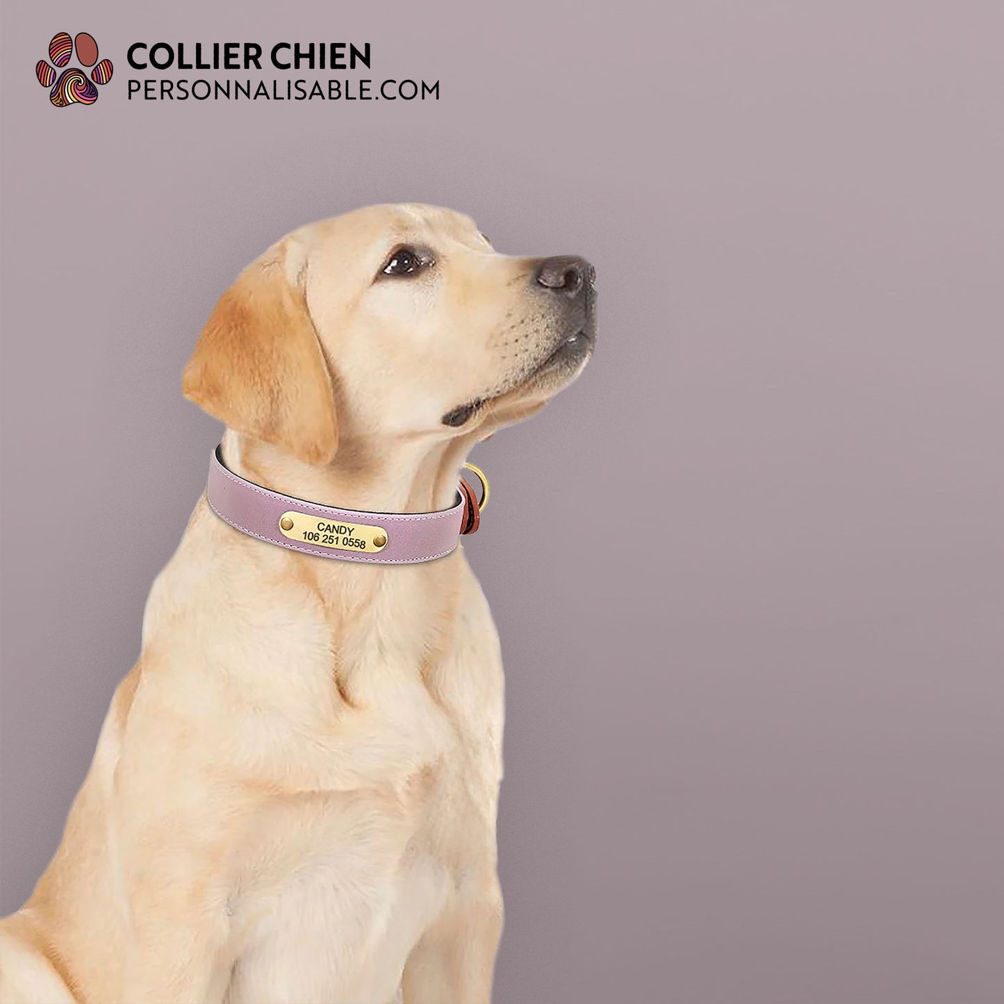 NUANCE - Collier Premium DuraCuir/PU réfléchissant