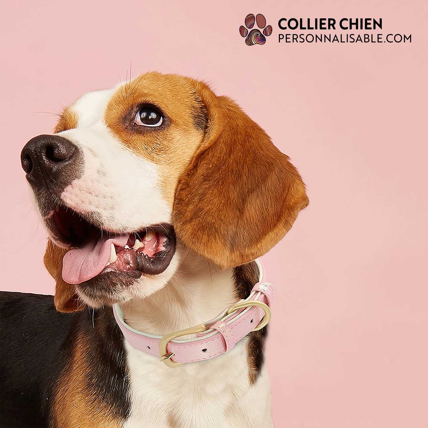 SHINY PAWS - Collier réfléchissant effet cuir brillant doublé