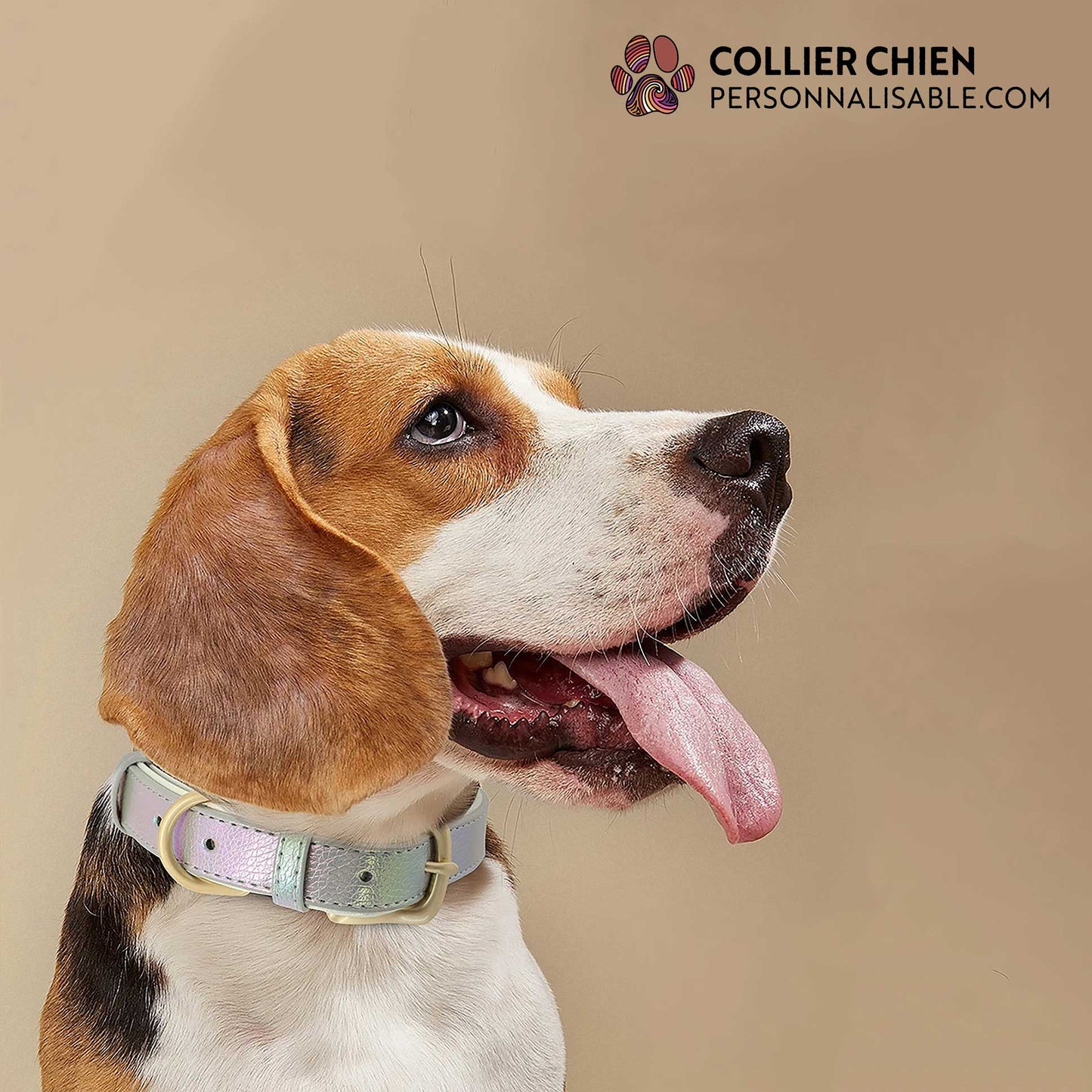 SHINY PAWS - Collier réfléchissant effet cuir brillant doublé