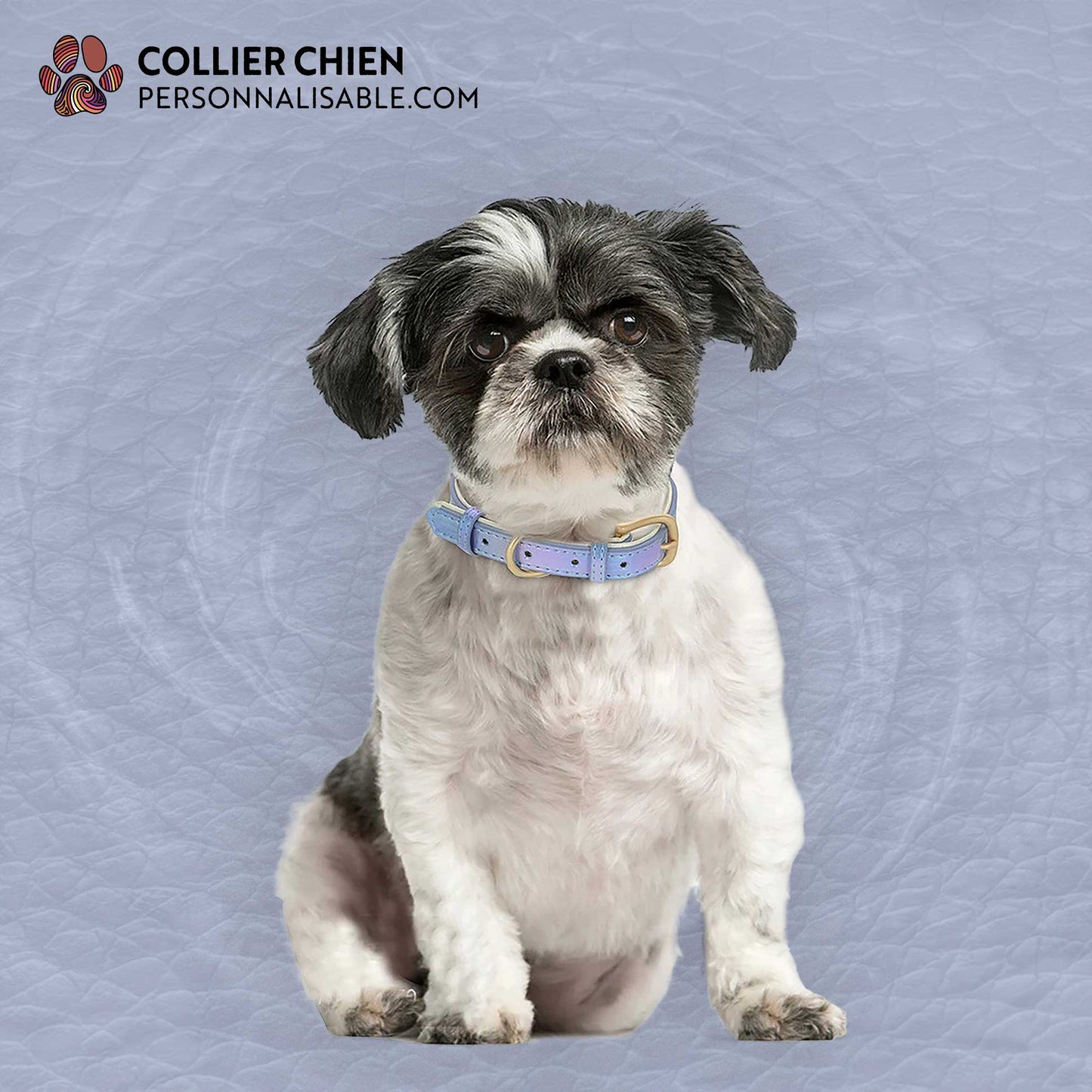 SHINY PAWS - Collier réfléchissant effet cuir brillant doublé
