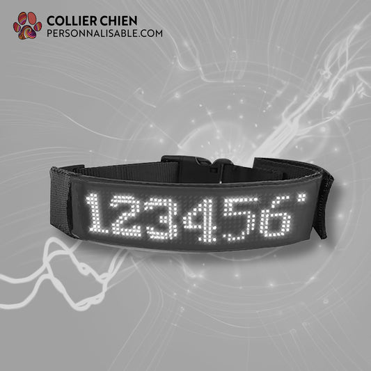 SMART DOG- Collier électronique UNICOULEUR Android et IOS