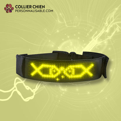 SMART DOG- Collier électronique UNICOULEUR Android et IOS
