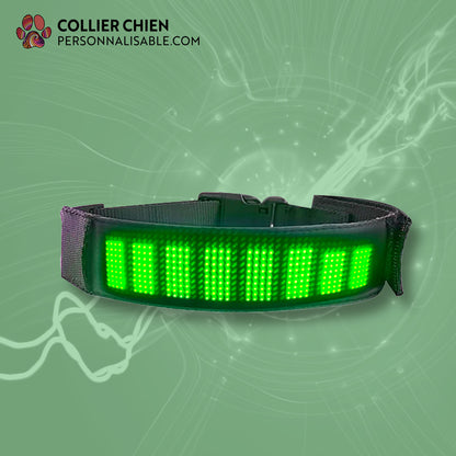 SMART DOG- Collier électronique UNICOULEUR Android et IOS