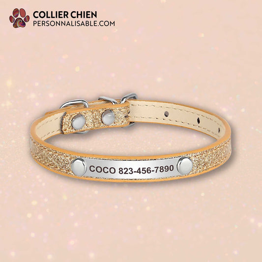 LUSTER LOOP - Collier fin brillant