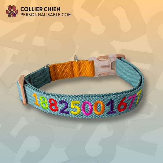LES ÉCOLIERS - Collier brodé multicolore
