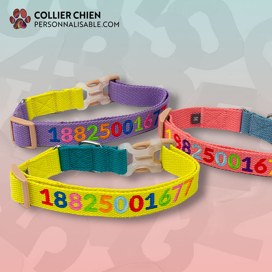 LES ÉCOLIERS - Collier brodé multicolore