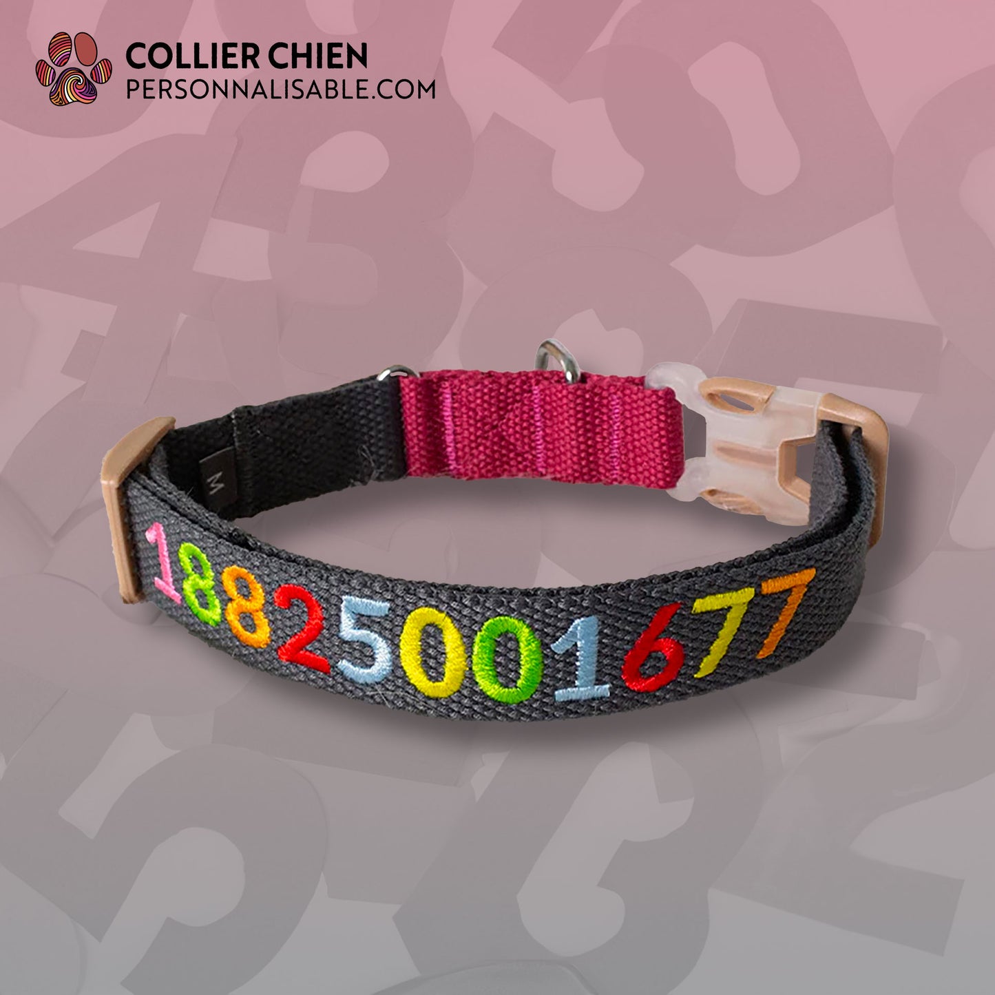 LES ÉCOLIERS - Collier brodé multicolore