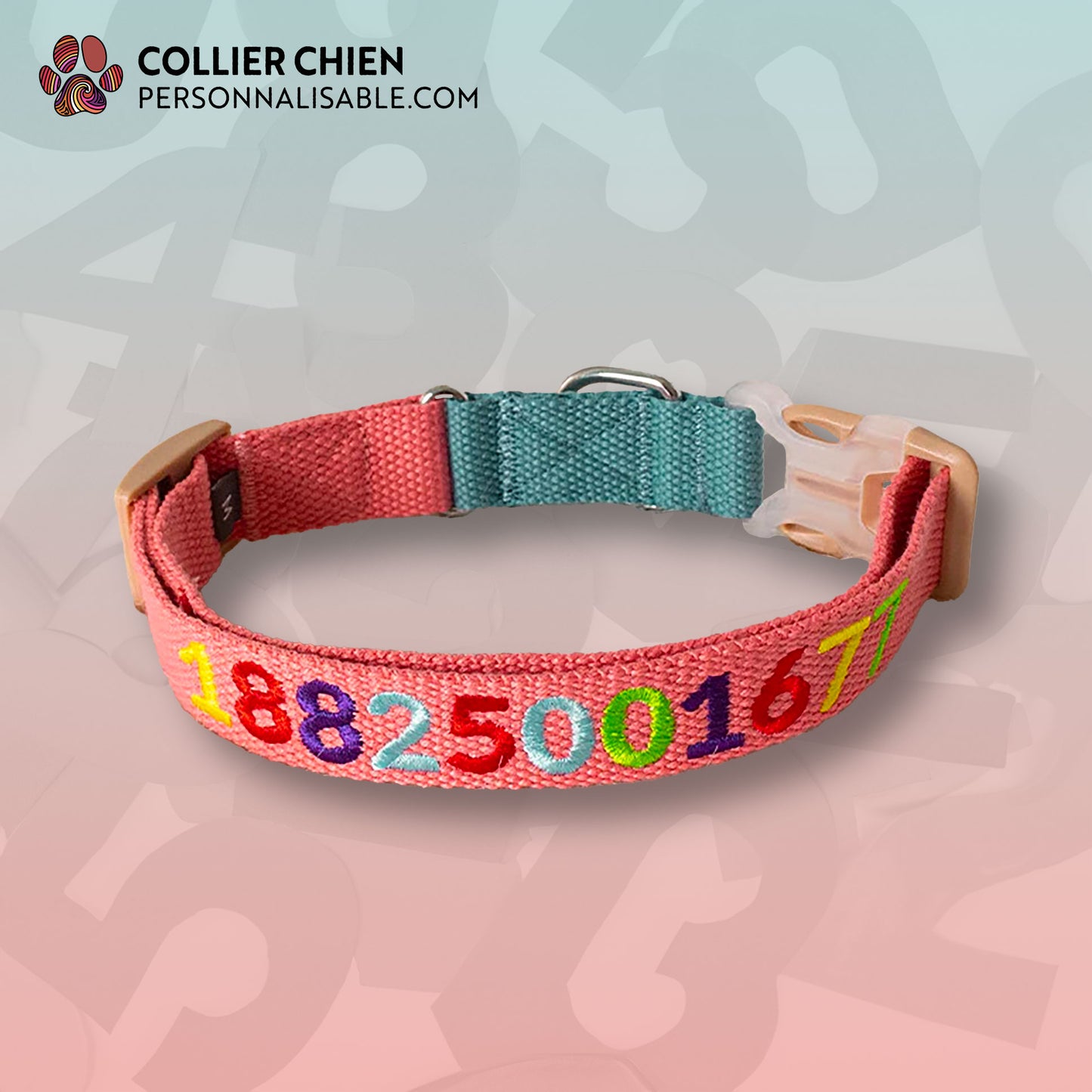 LES ÉCOLIERS - Collier brodé multicolore