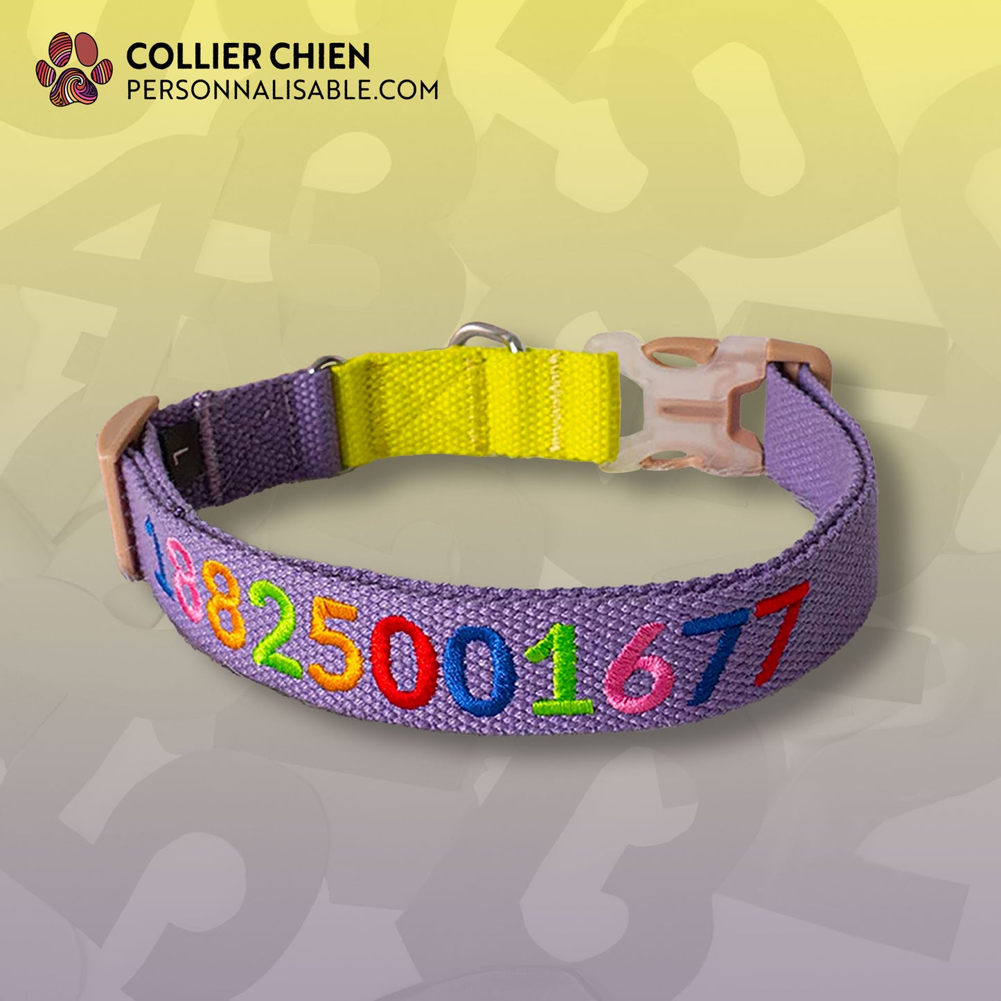 LES ÉCOLIERS - Collier brodé multicolore