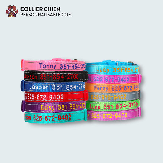 K9 - Collier brodé réfléchissant