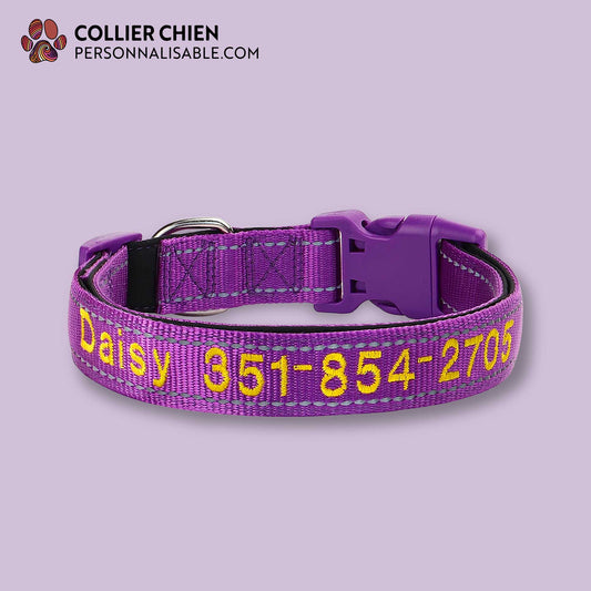 K9 - Collier brodé réfléchissant