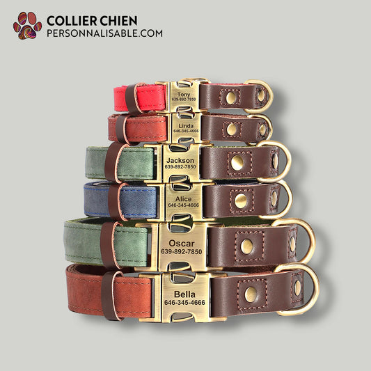 TIMBER DOG - Collier en nylon et cuir végan