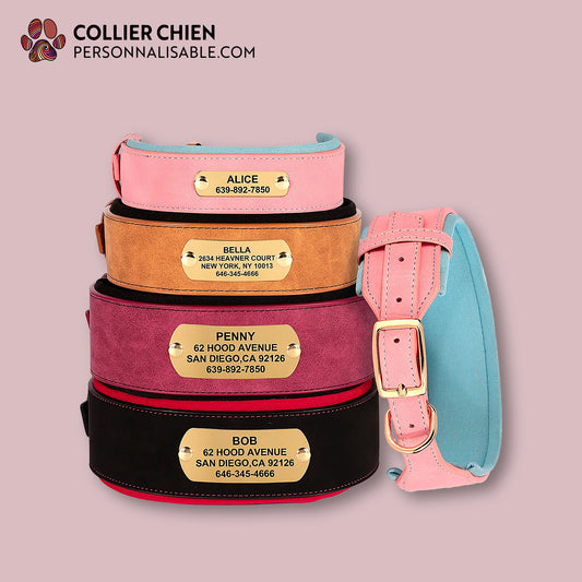 CROWN DOG  - Collier large rembourré effet daim