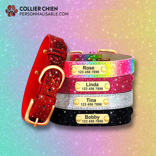 DOGGY GLAM - Collier à paillettes