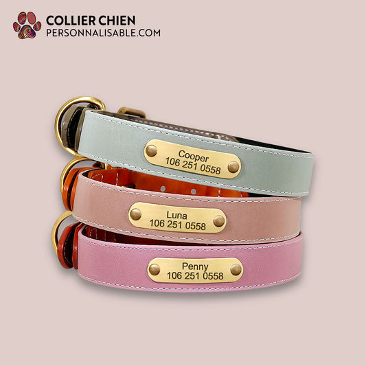 NUANCE - Collier Premium DuraCuir/PU réfléchissant