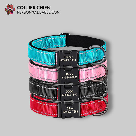 NIGHT GUARD - Collier reflechissant