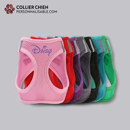 BUDDY FIT - Harnais chemise brodé
