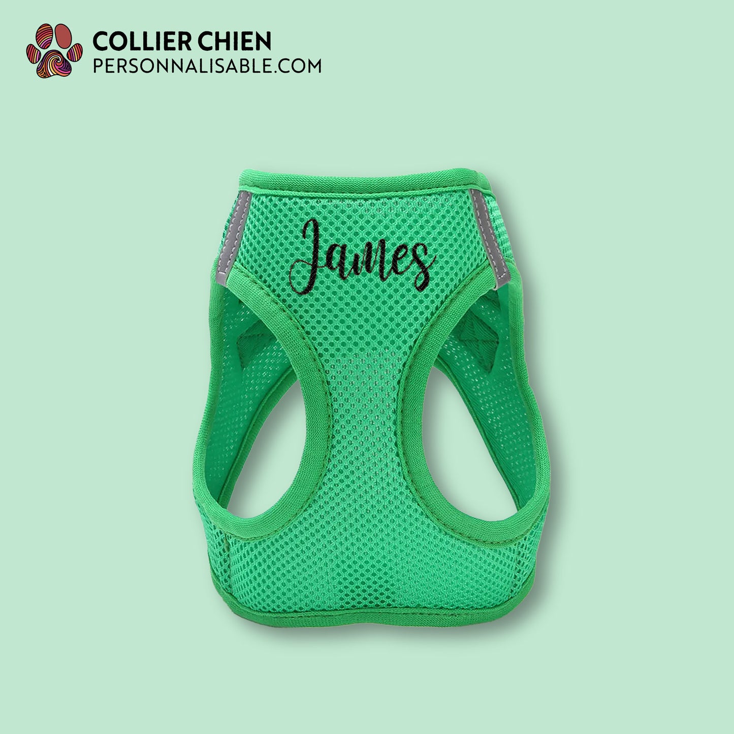 BUDDY FIT - Harnais chemise brodé