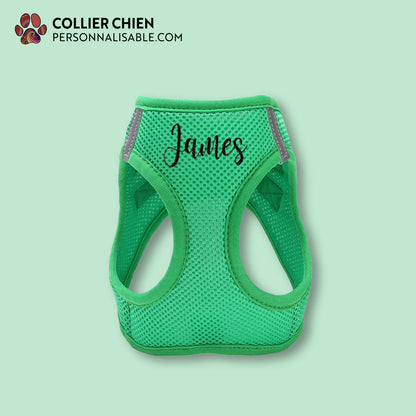 BUDDY FIT - Harnais chemise brodé