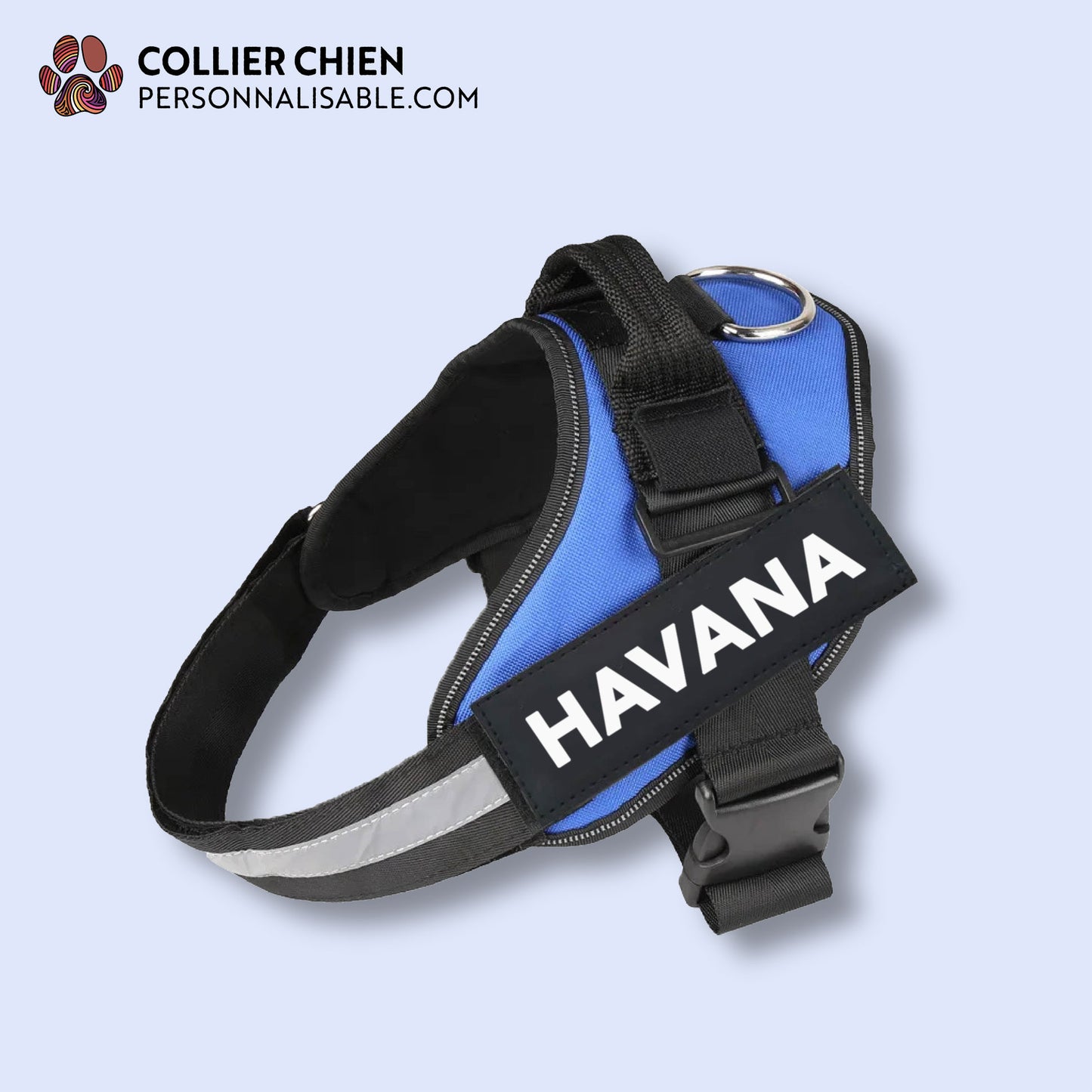 PASSE PARTOUT- Harnais en T couleur unie