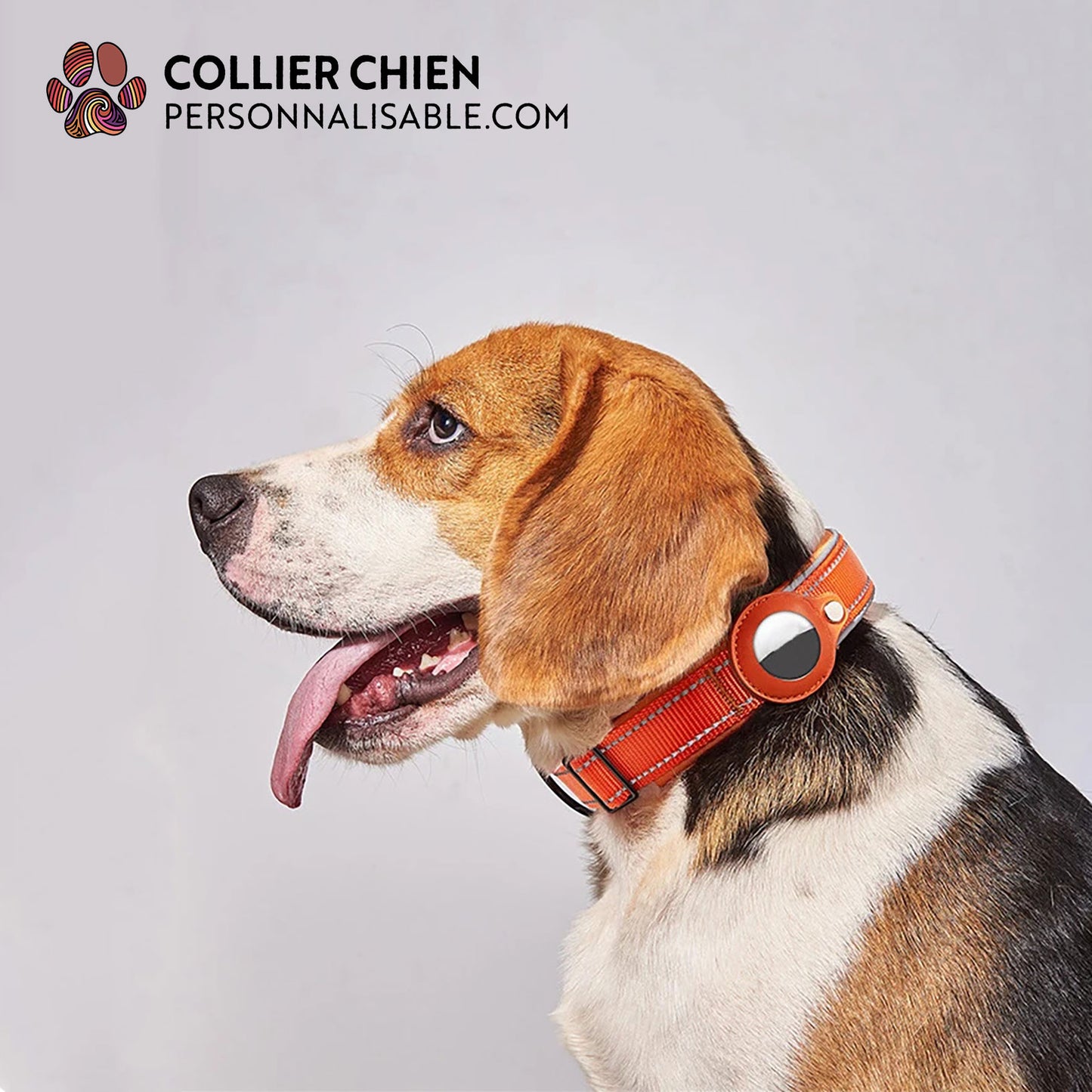 LIGHT TRACK - Collier AirTag™ réfléchissant