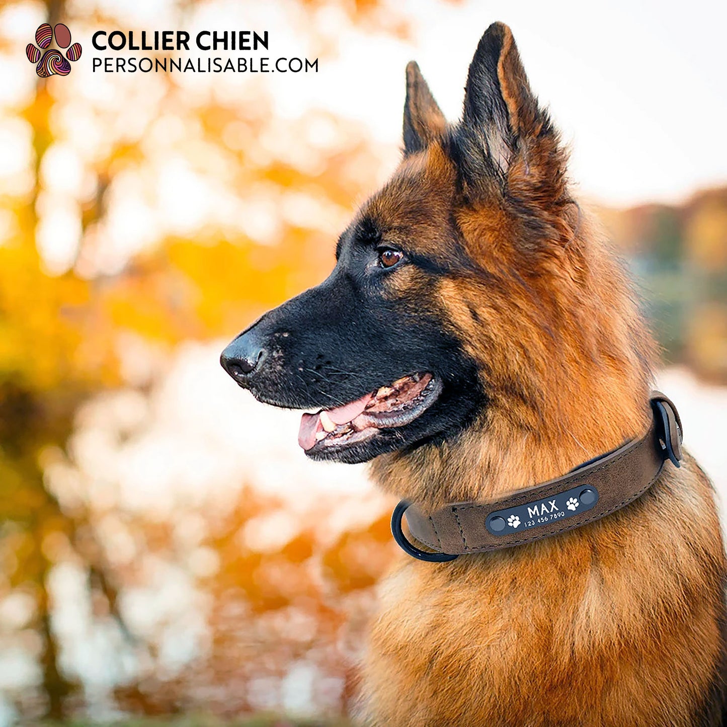 DURACUIR Colors - Collier avec plaque en acier inoxydable nominative