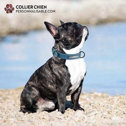 DURACUIR Colors - Collier avec plaque en acier inoxydable nominative