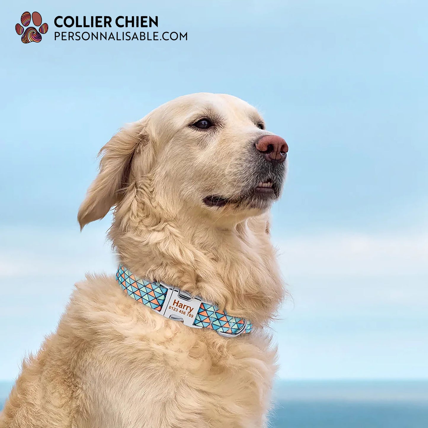 GÉOMÉTRIE - Collier à motif scolaire