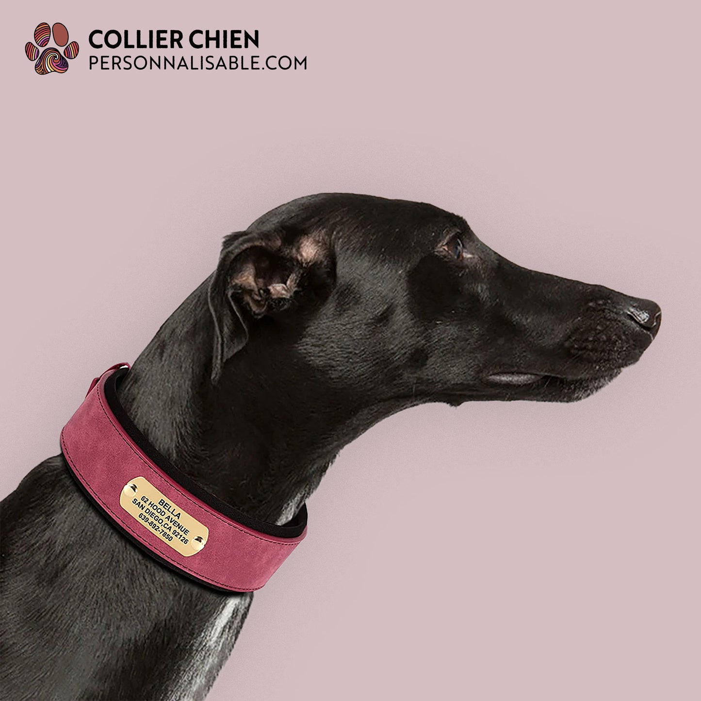 CROWN DOG  - Collier large rembourré effet daim