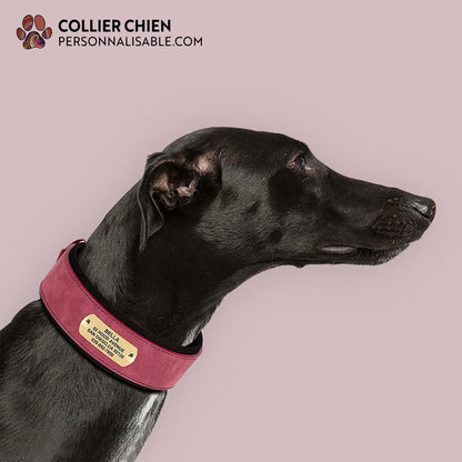 CROWN DOG  - Collier large rembourré effet daim