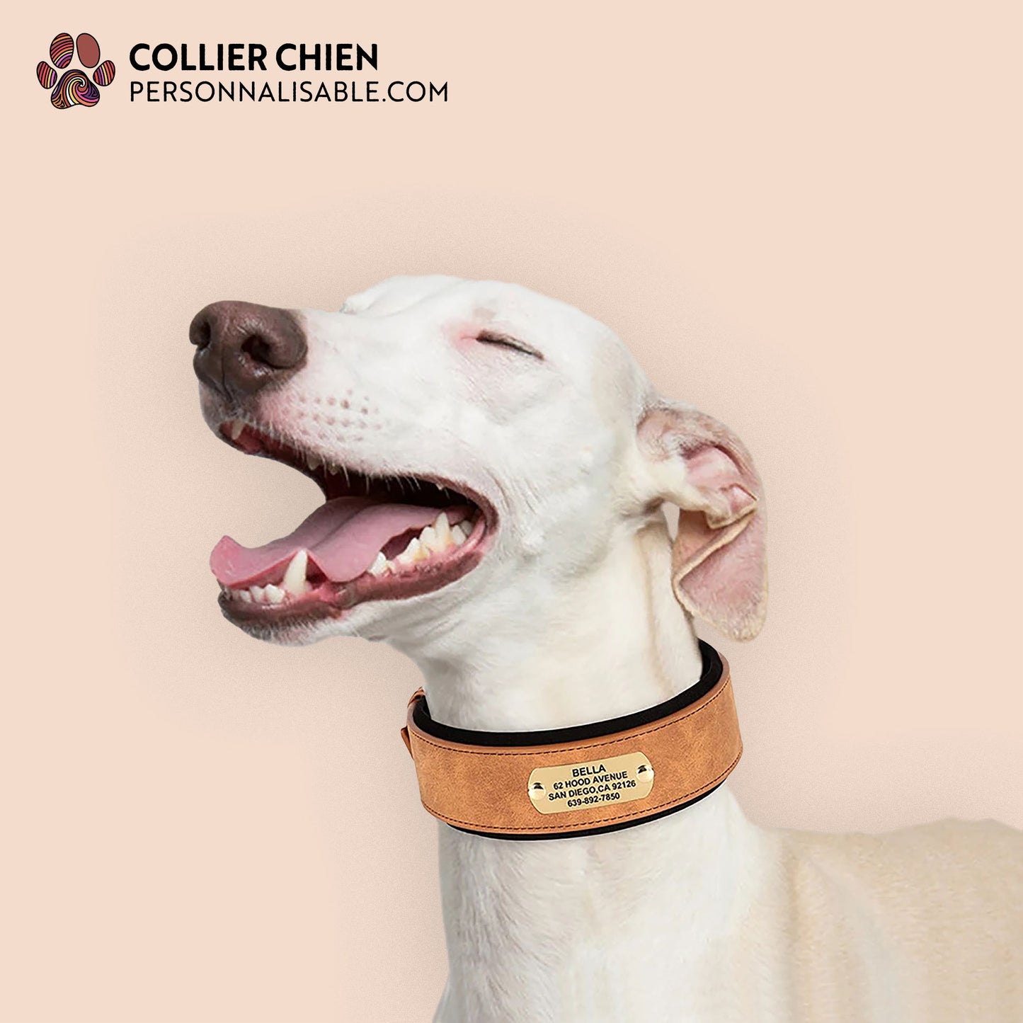 CROWN DOG  - Collier large rembourré effet daim