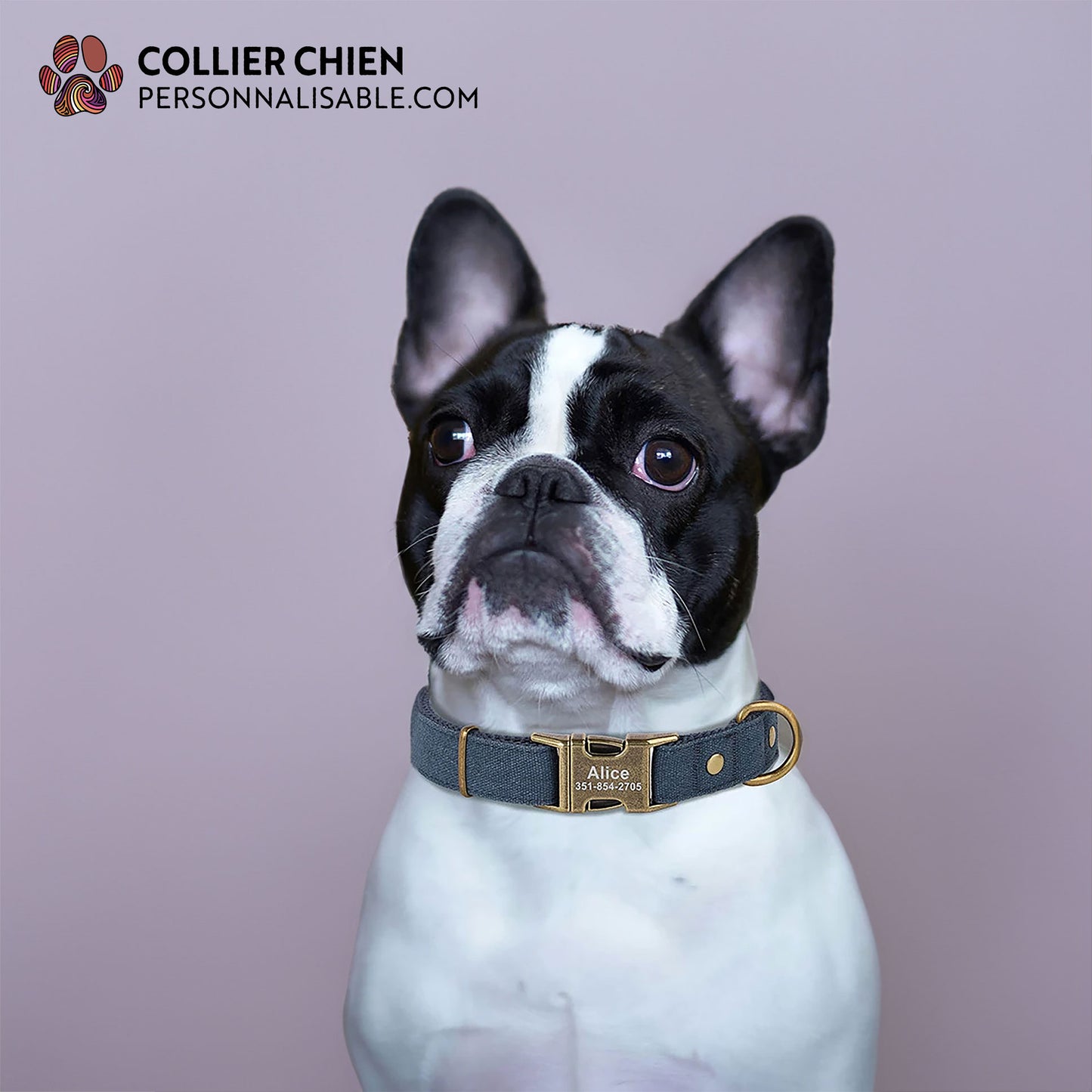 PATHFINDER - Collier pour chien personnalisé en nylon simple