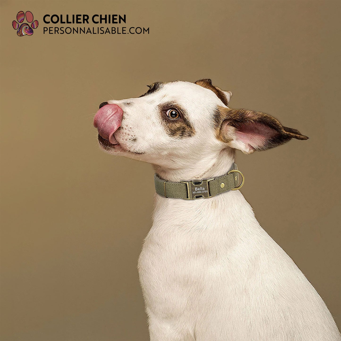 PATHFINDER - Collier pour chien personnalisé en nylon simple
