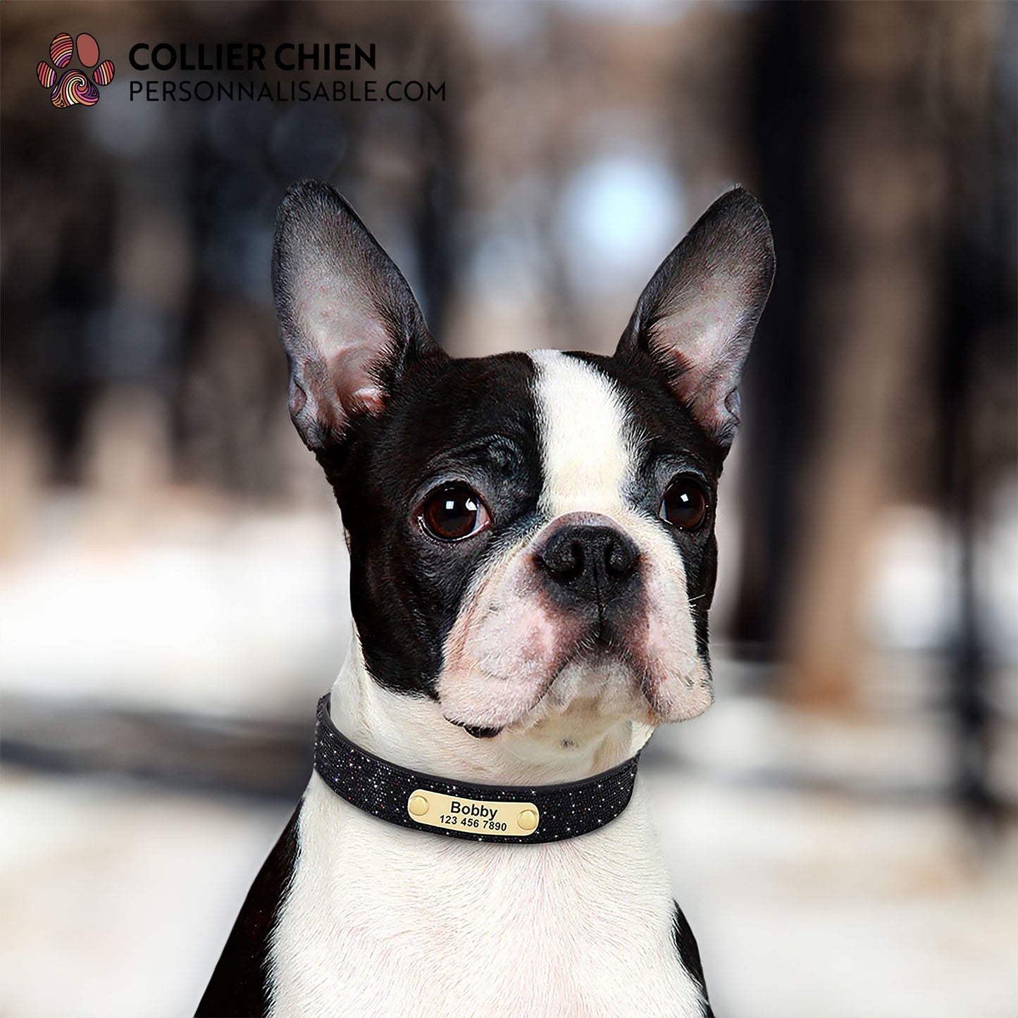 DOGGY GLAM - Collier à paillettes
