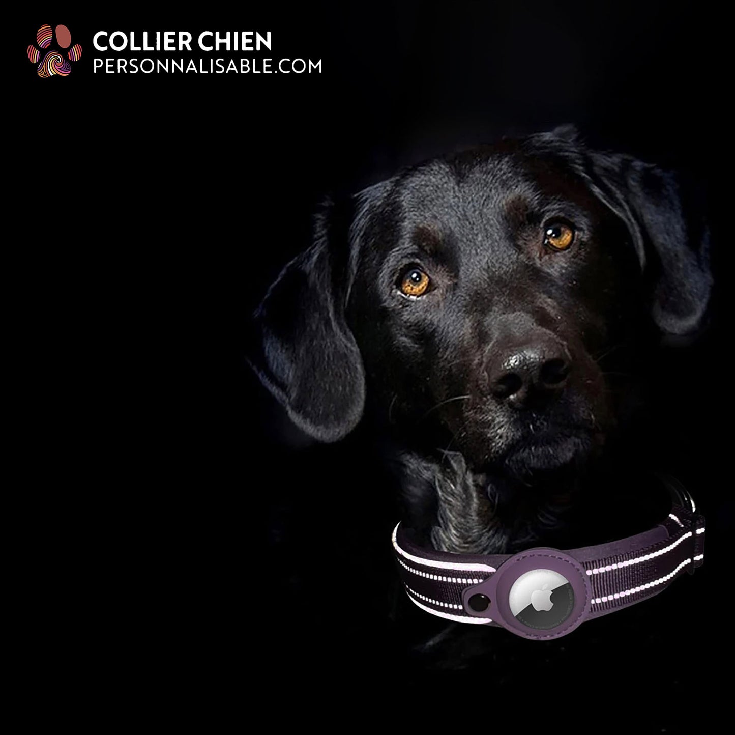 LIGHT TRACK - Collier AirTag™ réfléchissant