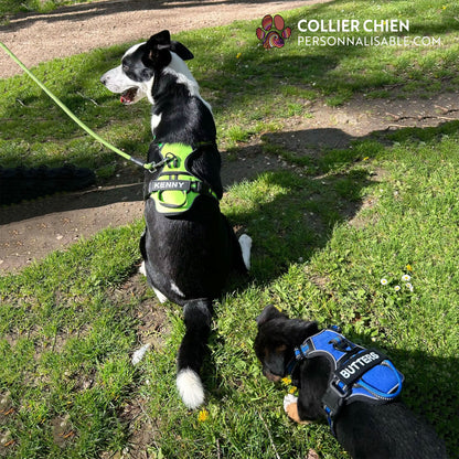 SUPER DOG - Harnais premium réfléchissant