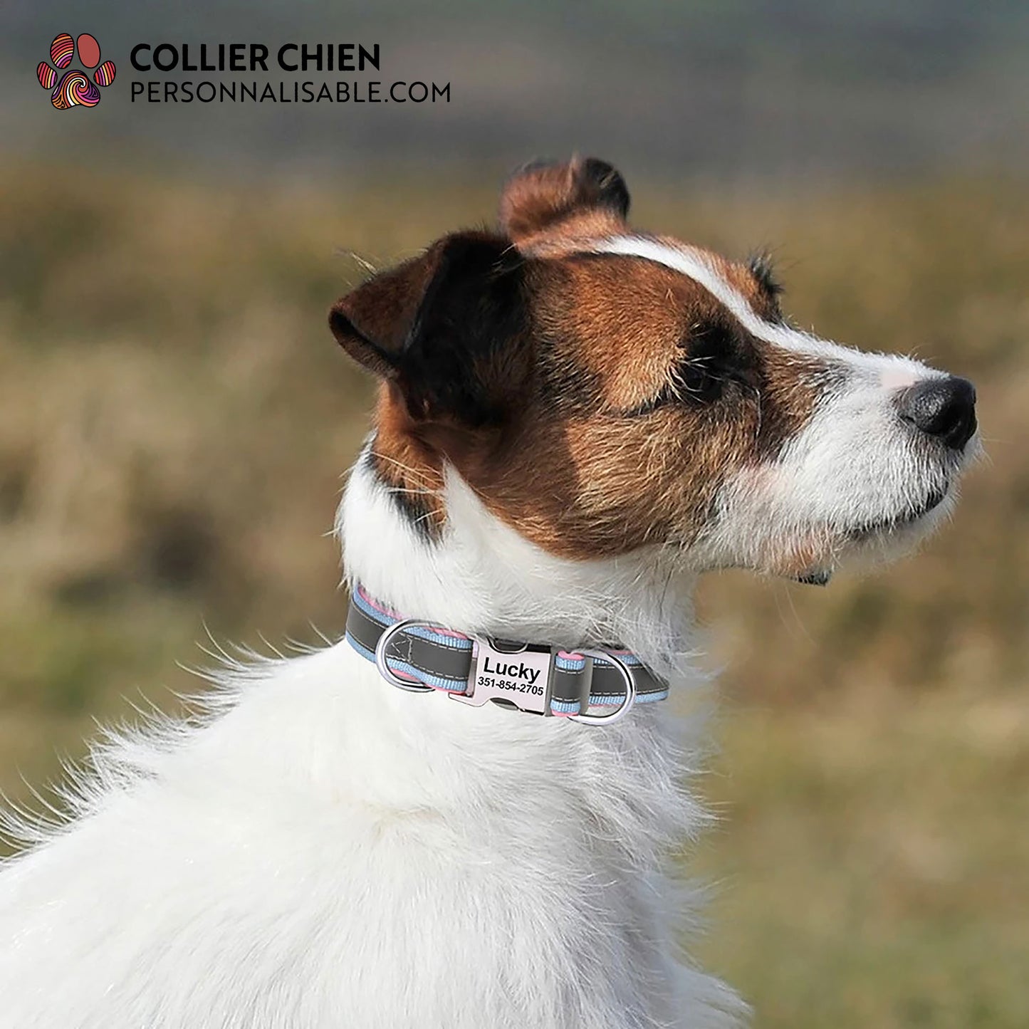 SMART BAND - Collier réfléchissant polyvalent