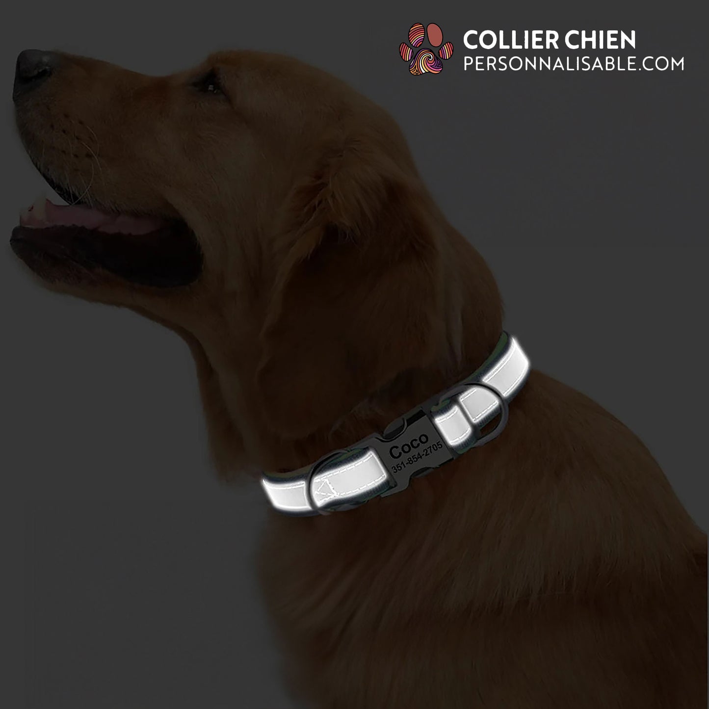 SMART BAND - Collier réfléchissant polyvalent