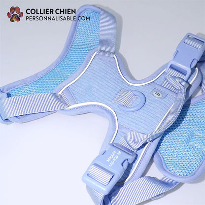 COMFY SPORT - Harnais molletonné haut de gamme