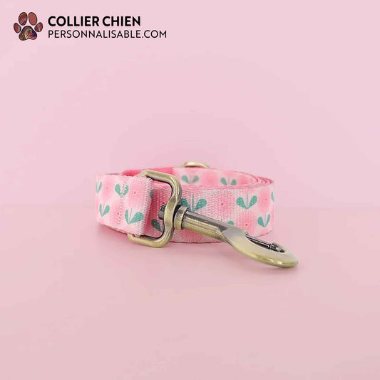 SWEET O'NYL - Laisse collection printanière