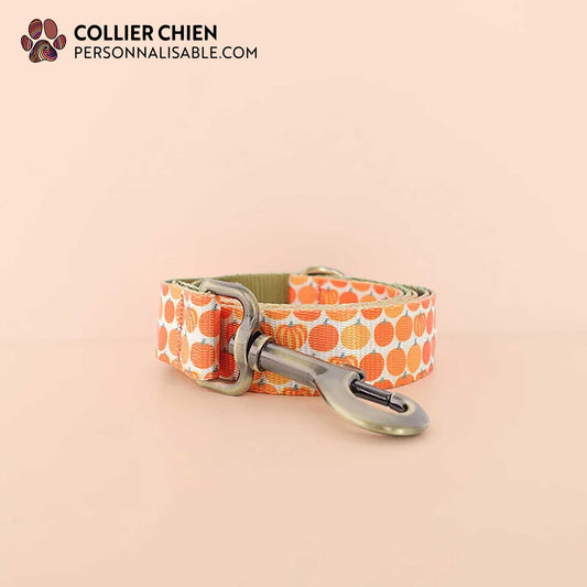 SWEET O'NYL - Laisse collection fruity mix