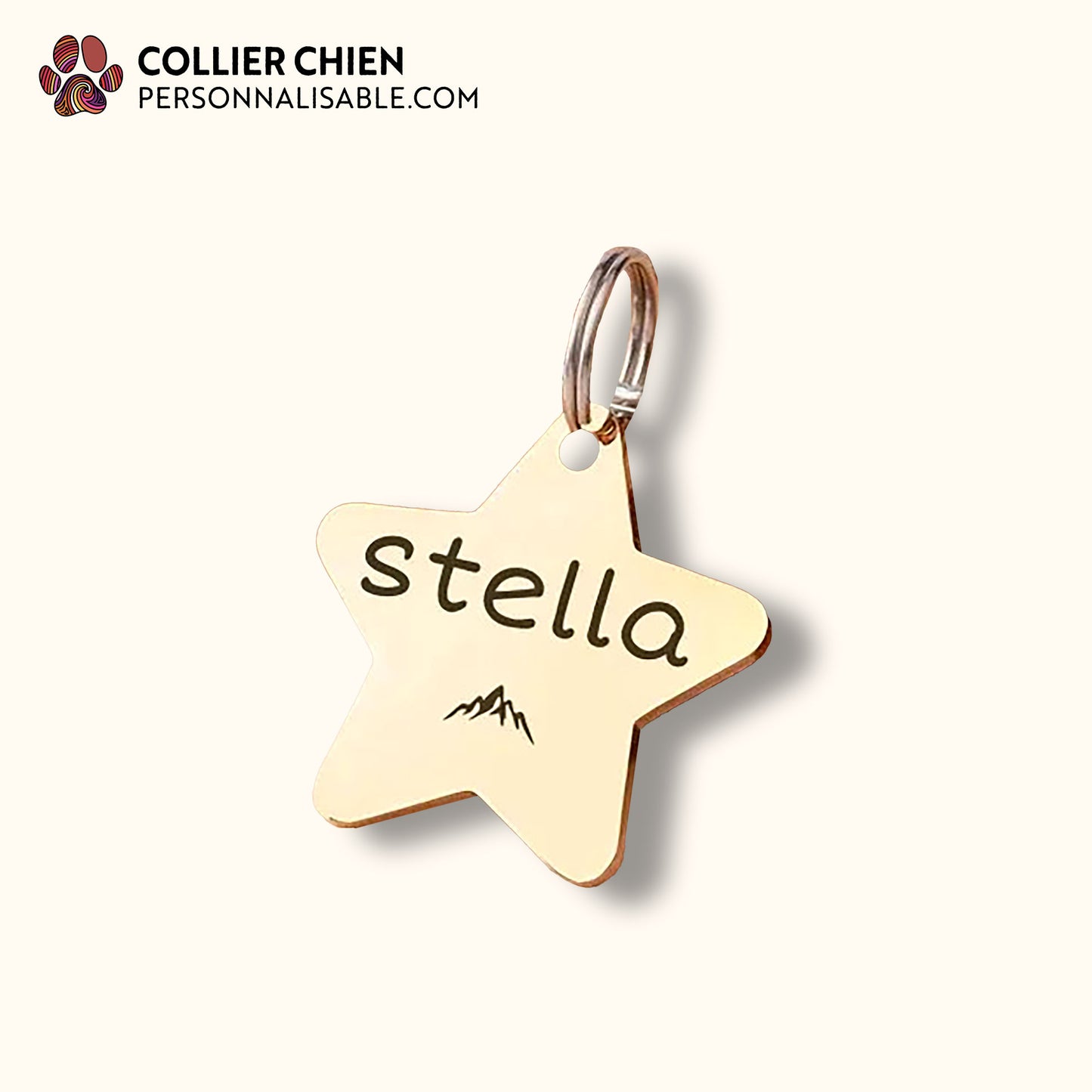 LUCKY CHARM - Médaille étoile en acier inoxydable