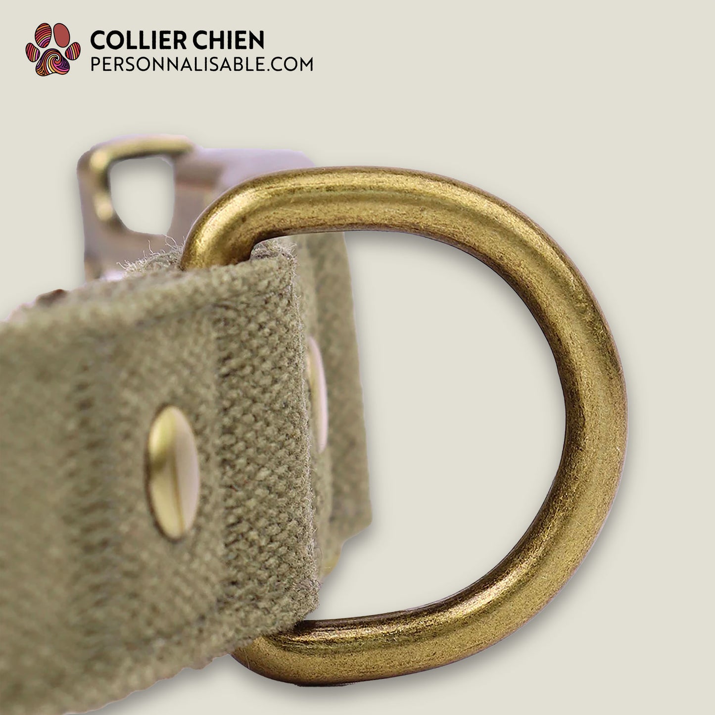 PATHFINDER - Collier pour chien personnalisé en nylon simple