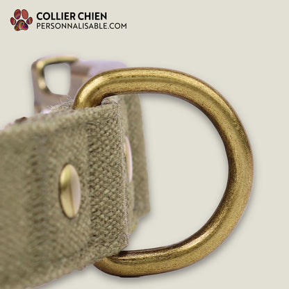 PATHFINDER - Collier pour chien personnalisé en nylon simple
