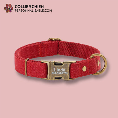 PATHFINDER - Collier pour chien personnalisé en nylon simple