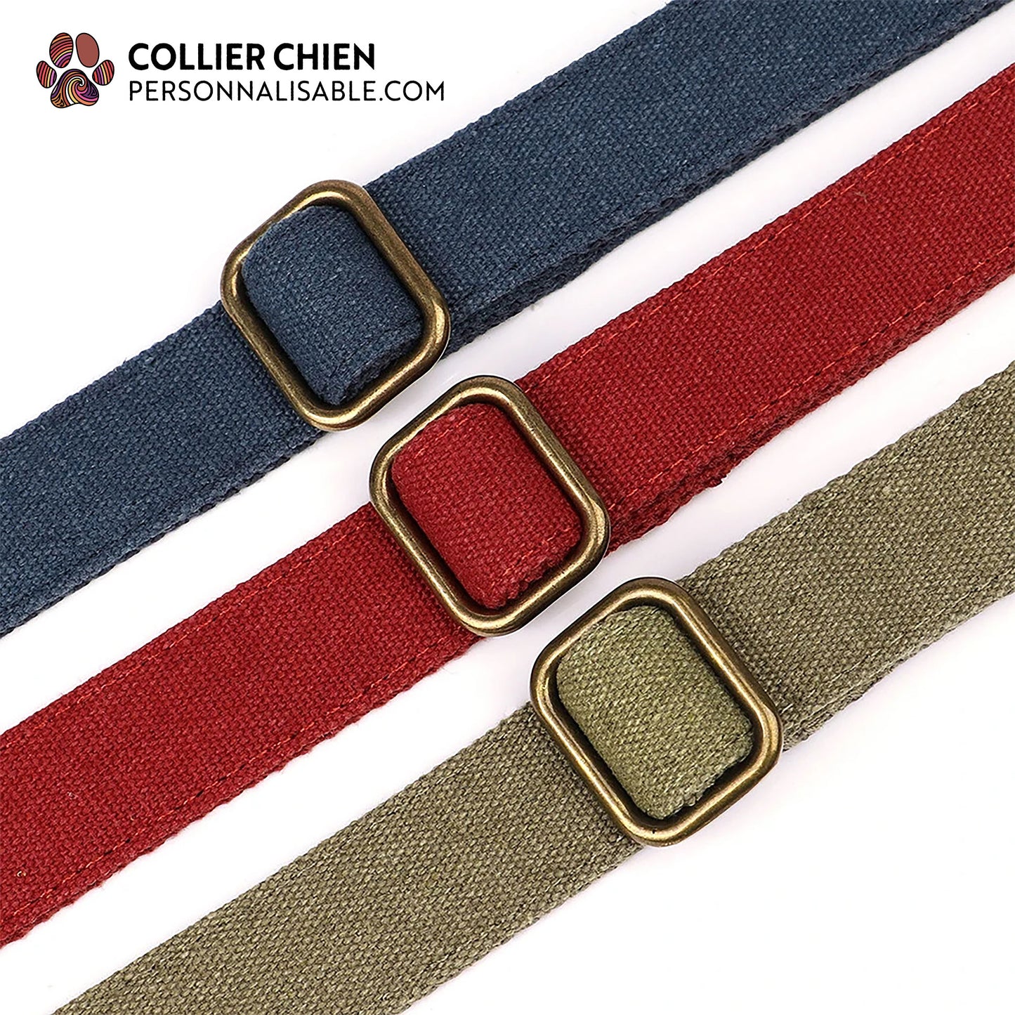 PATHFINDER - Collier pour chien personnalisé en nylon simple