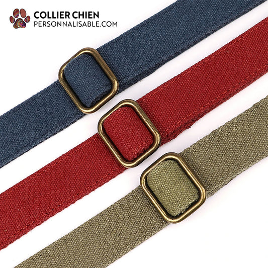 PATHFINDER - Collier pour chien personnalisé en nylon simple