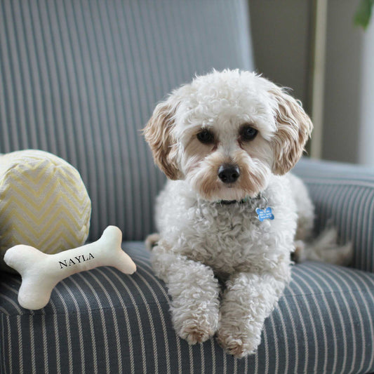 PLAY TIME - Jouet os tout doux blanc